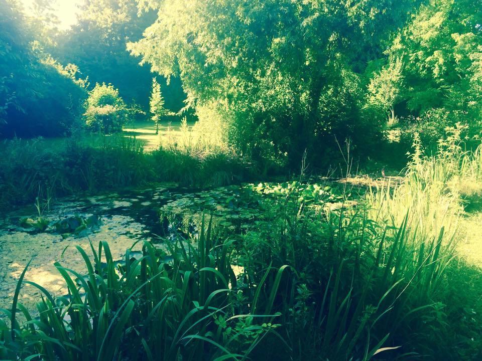 Le Coq En Pate Bed & Breakfast Peronne  Room photo